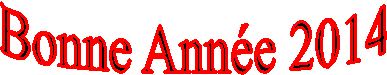 Bonne Anne 2014